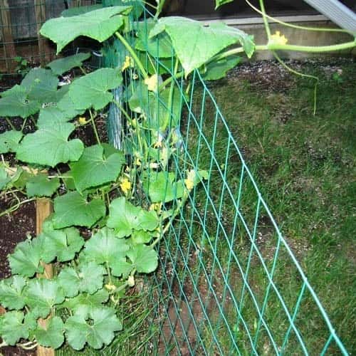 Balcony Safety Nets in Hyderabad